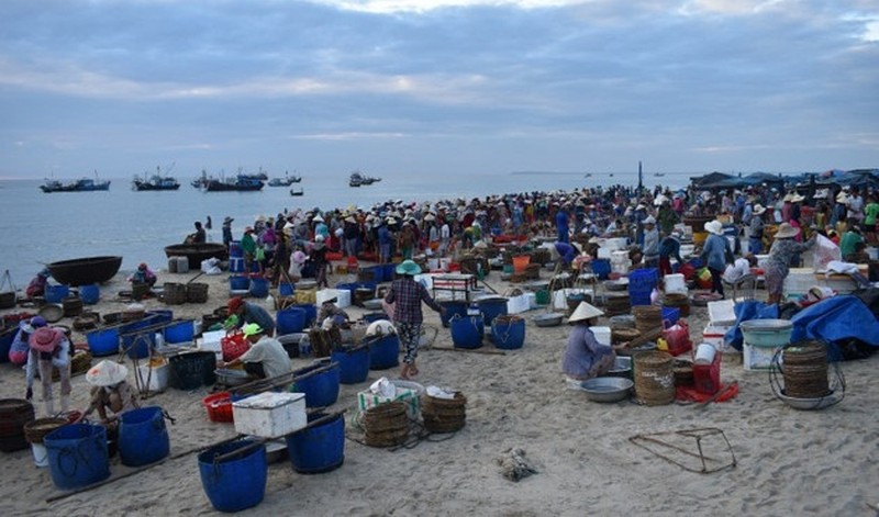 Chợ cá Tam Tiến – Nét đẹp mang đặc trưng riêng của vùng biển