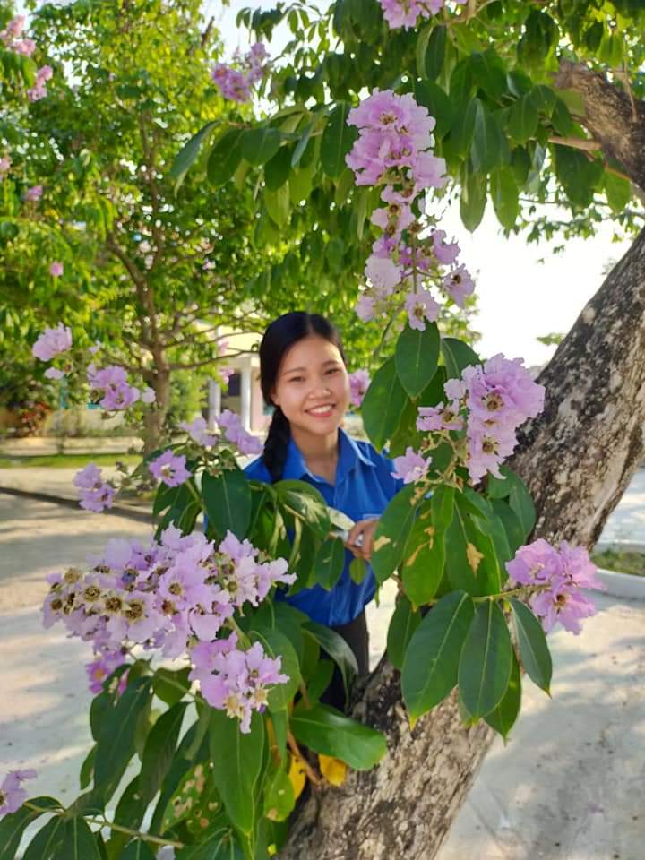 Phố hoa tím bằng lăng
