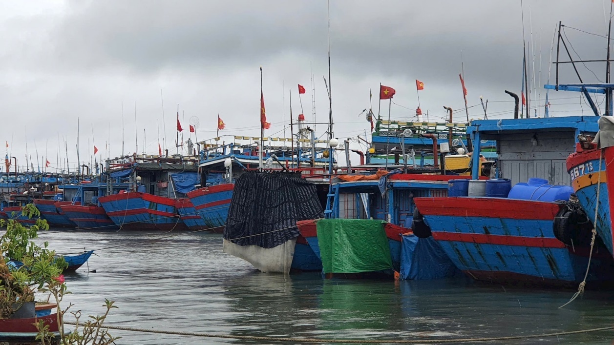 Núi Thành có 1.931 tàu thuyền khai thác hải sản